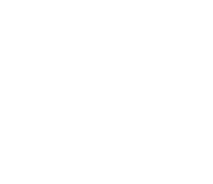 Endeavor Logo_white