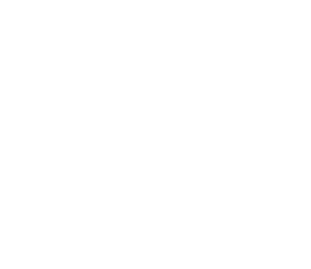 Endeavor Logo_white